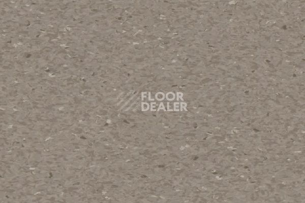 Линолеум Tarkett iQ Granit Acoustic COOL BEIGE фото 1 | FLOORDEALER